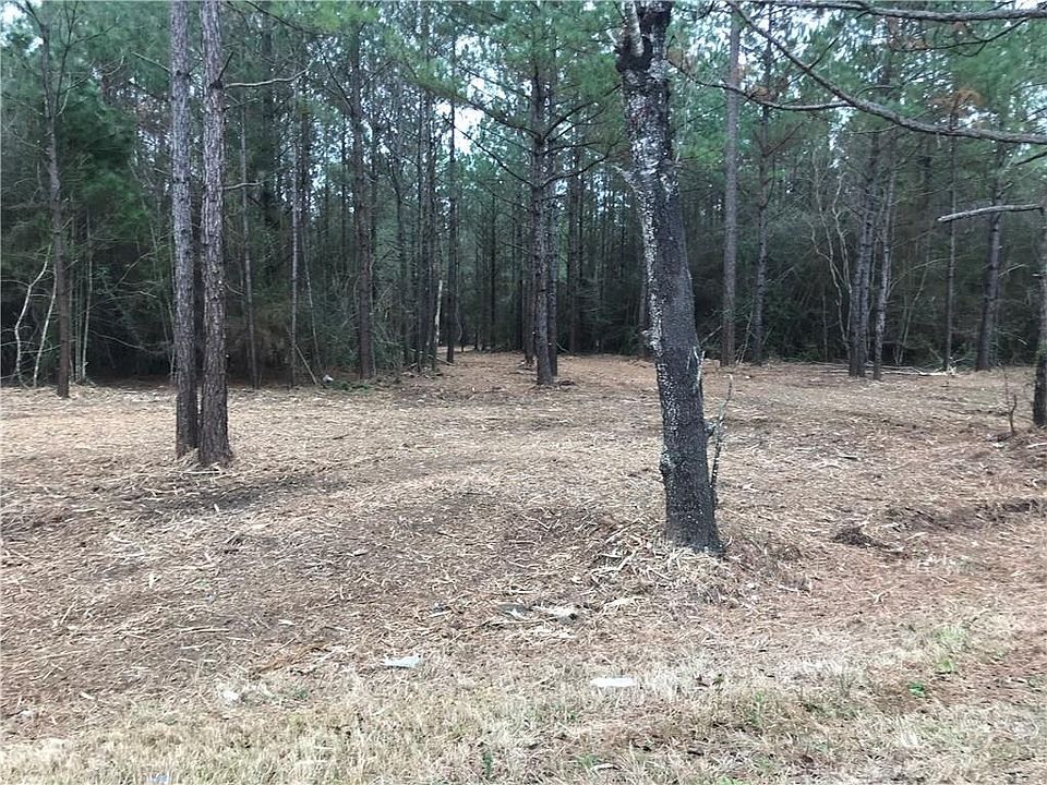 2nd image of 0 Wilmer Georgetown Rd #17/18