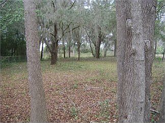 4th image of 8163 W River Glade Ct