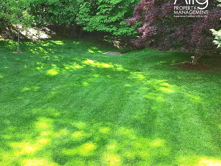 1236 Raintree Dr — Photo 36