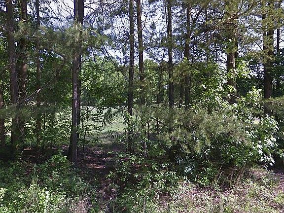 3rd image of 3240 Broadmoor Dr