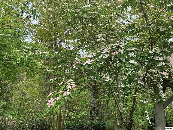5th image of 132 Long Rifle Rd Lot 132