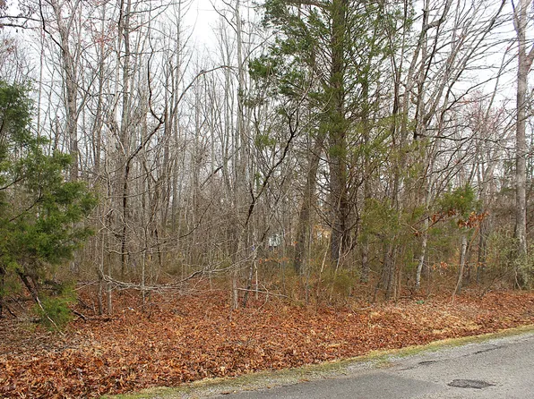 0 Lakeshore Dr Lot 17, Beechgrove, TN 37018