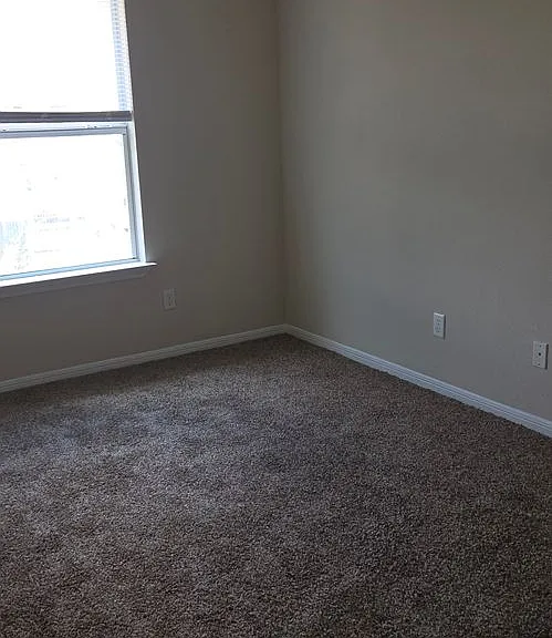 809 Leifester Cir — Photo 15