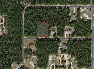 4393 W Cameo Ln LOT 11, Dunnellon, FL 34433