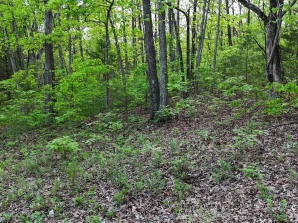 000 State Highway C, Seymour, MO 65746