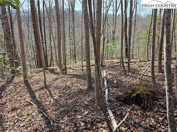 2nd image of TBD Powder Horn Mountain Road