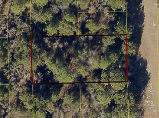 Tbd 224th St, OBrien, FL 32071