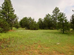 3325 Ox Bow Bend Rd, Overgaard, AZ 85933