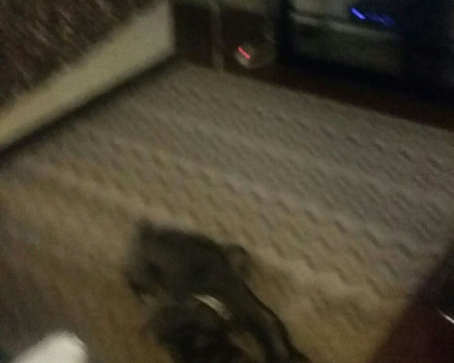 1st image of 4649 Country Creek Dr APT 1112