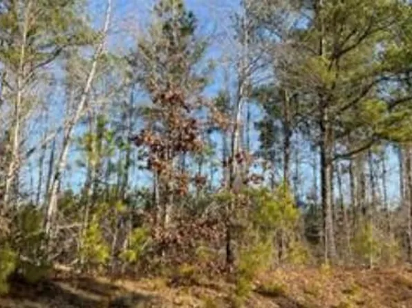 Steadman Rd #32, Tallapoosa, GA 30176