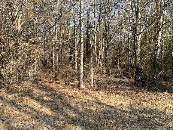 4th image of 756 Highway 133