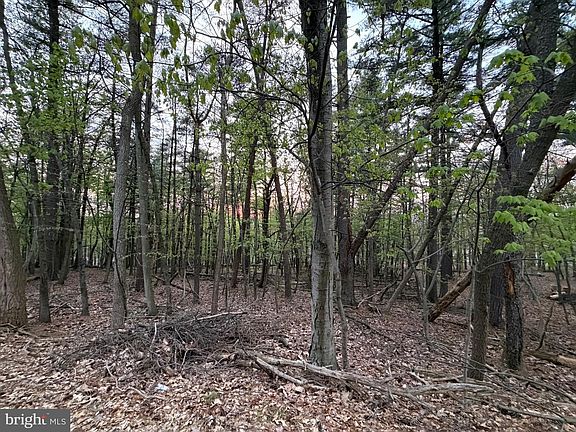 5th image of 2394 Crow Foot Dr