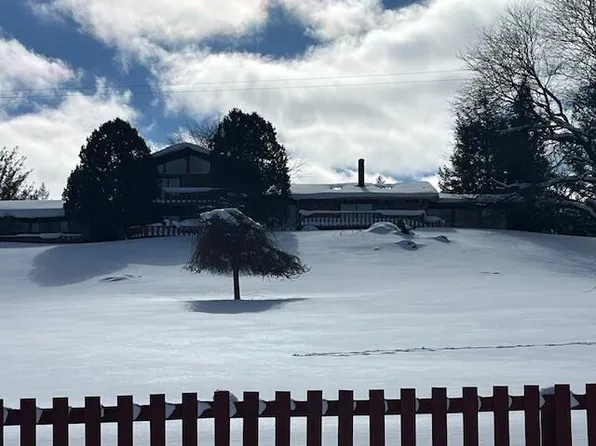 8903 Maidens Rd, Bear Lake, MI 49614