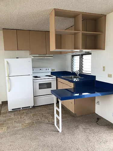 2729 Kapiolani Blvd #405 Photo 1