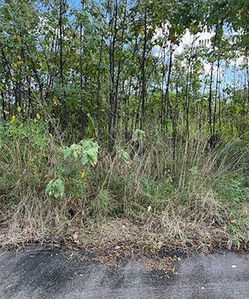 2nd image of 168 Kimokimo Pl Lot 418