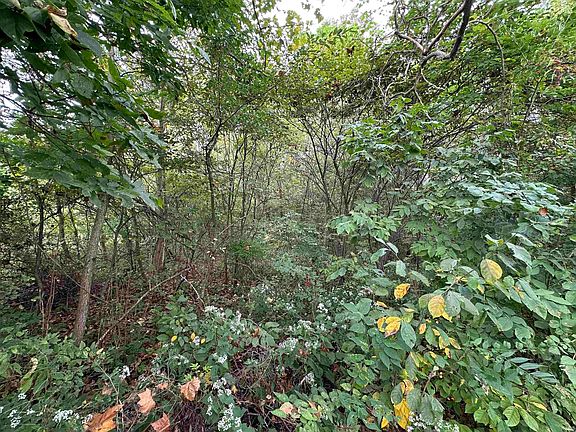 3rd image of Spring Dr