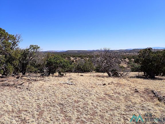 3rd image of Tanglewood Cir
