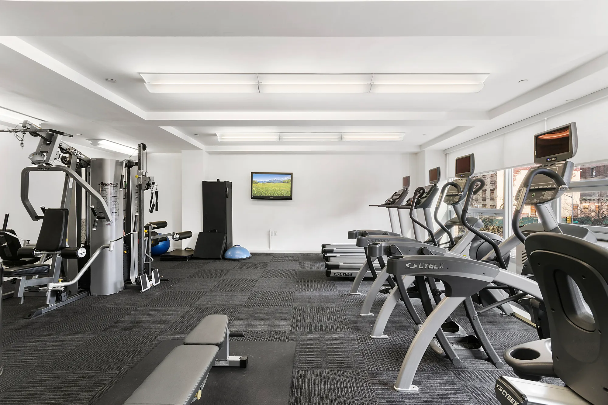 181 East 119th Street #8D in East Harlem, Manhattan | StreetEasy
