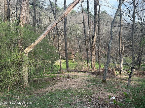4th image of 139 Harris Hill Rd