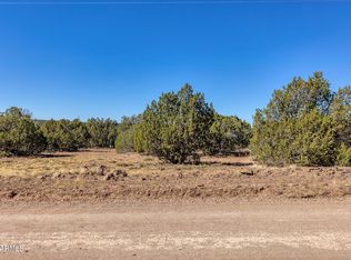 67 County Road 8221 #275, Concho, AZ 85924