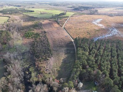 32 Acres - TBD Claire Rd, Hemingway, SC, 29554