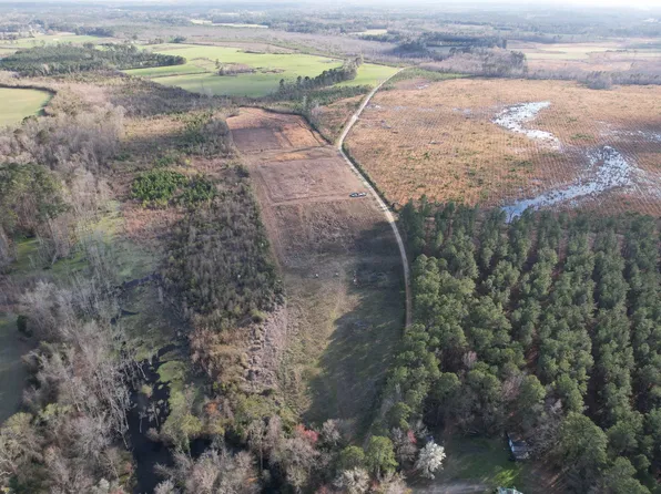 32 Acres - TBD Claire Rd, Hemingway, SC 29554