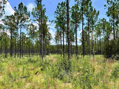 Xx17 Indian Ford Rd, Milton, FL, 32570