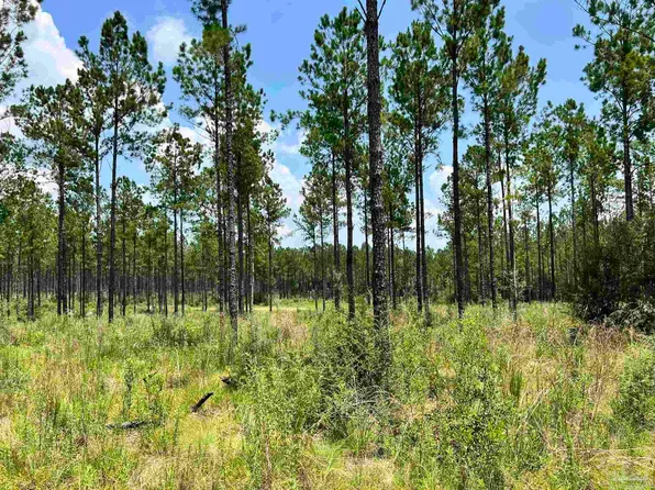 Xx17 Indian Ford Rd, Milton, FL 32570