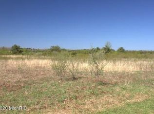 N Custer Rd, Free Soil, MI 49411