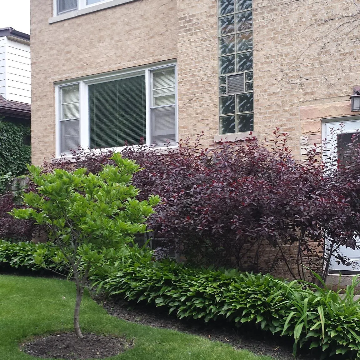 1331 Cleveland St — Photo 1
