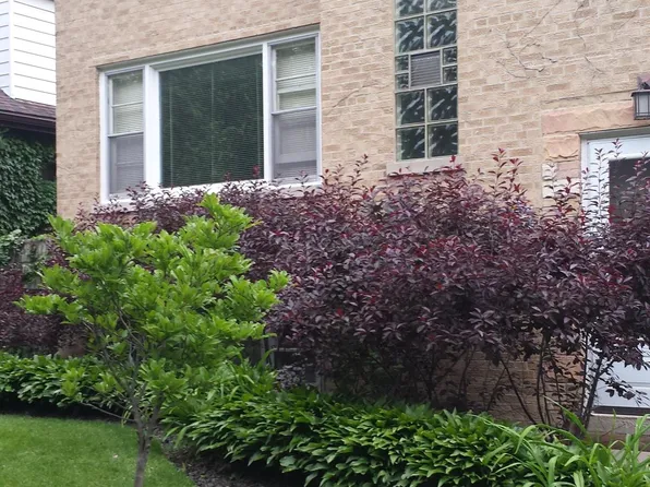 1331 Cleveland St #1G, Evanston, IL 60202