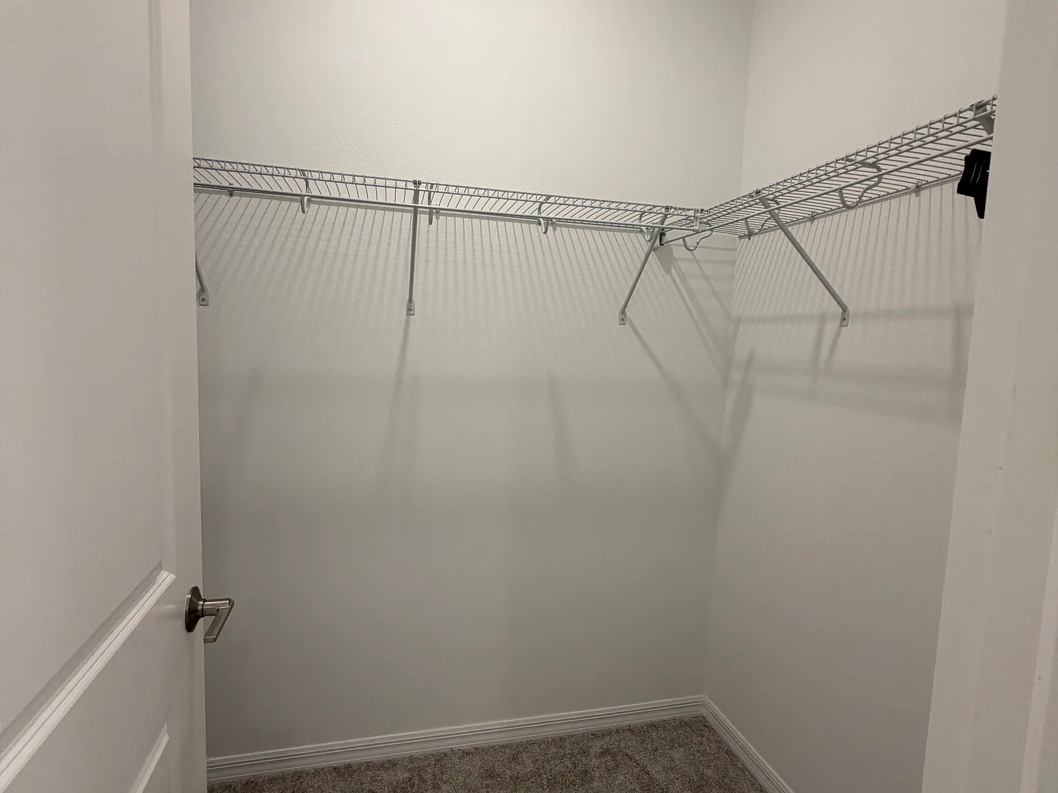 1 bed, $900 — Photo 4