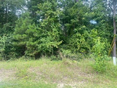 Diamondhead Dr N LOT 14, Diamondhead, MS, 39525