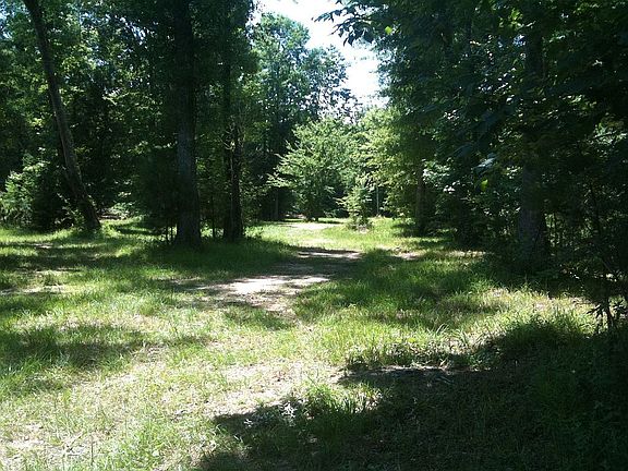 5th image of Hunts Bluff Rd