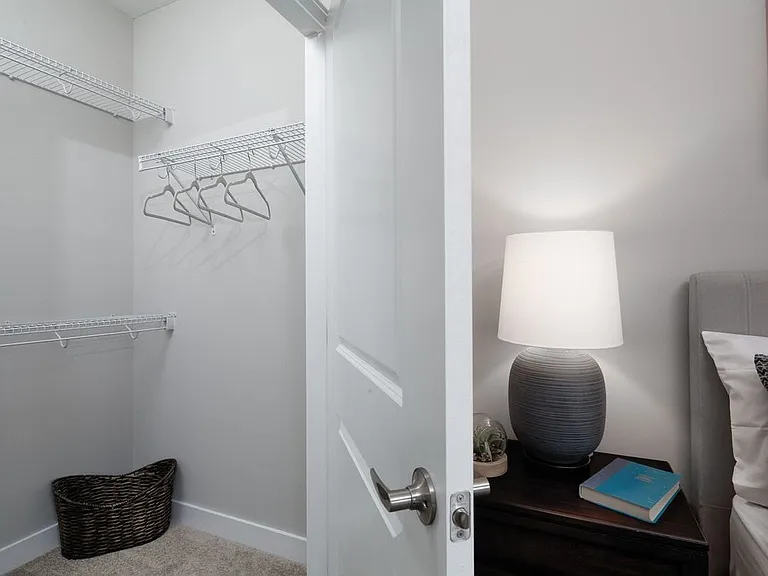Bedroom with walk-in closet