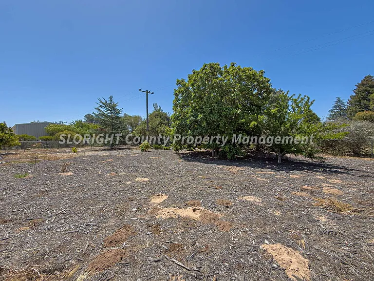 204 Ruby Ln — Photo 39