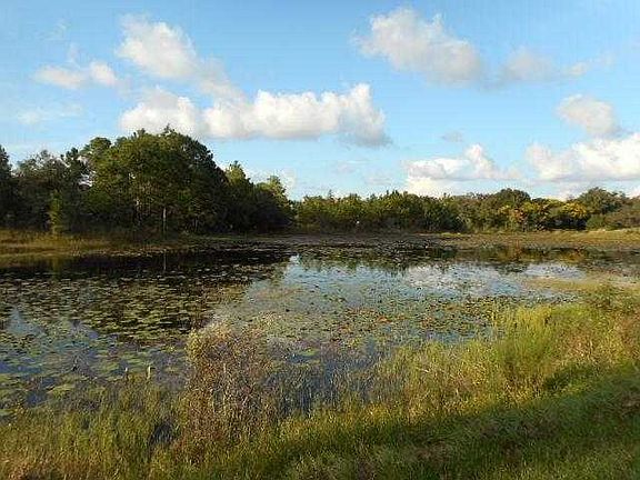 Pond