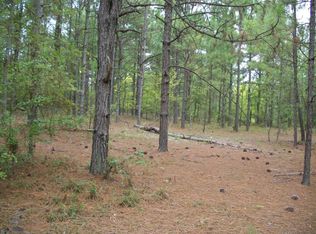 Williamson Ave, New Ellenton, SC 29809