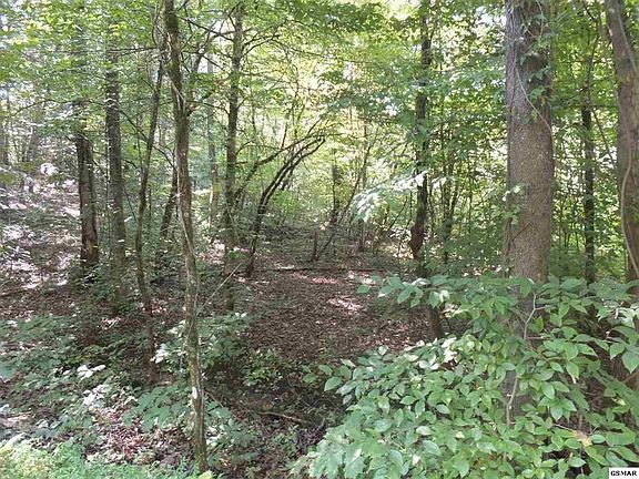 3rd image of 21 Deerfoot Rd Lot 221