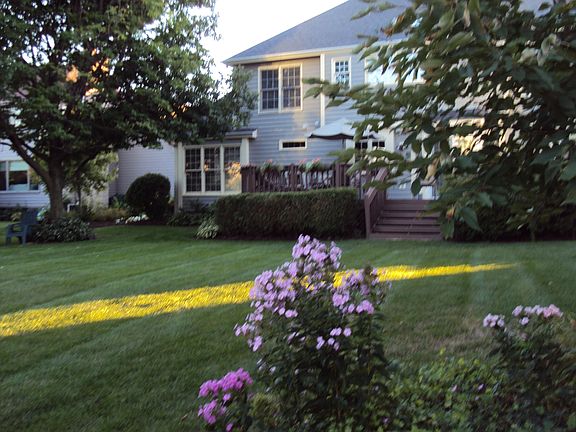 landscaped backyard water view 