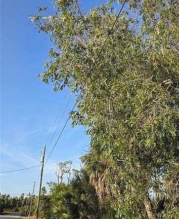 2nd image of 13262 GORMAN AVENUE LOT 6