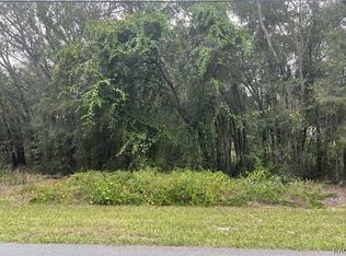 1361 E McKinley St, Hernando, FL 34442