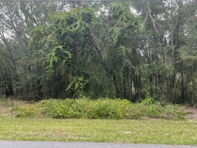 1361 E McKinley St, Hernando, FL, 34442