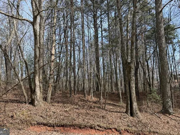 0 Bayou Ct, Ellijay, GA 30540