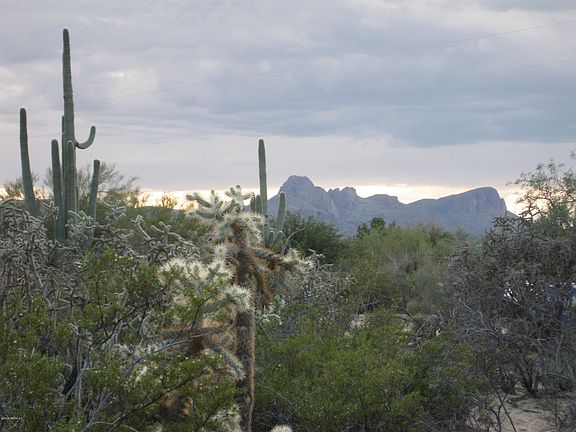5th image of N Sandra Rd #2