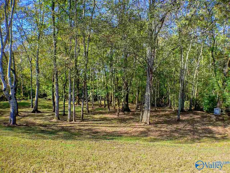 2031 Blake Bottom Rd #15 — Photo 20