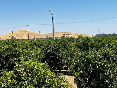 Hwy 216, Ivanhoe, CA, 93235