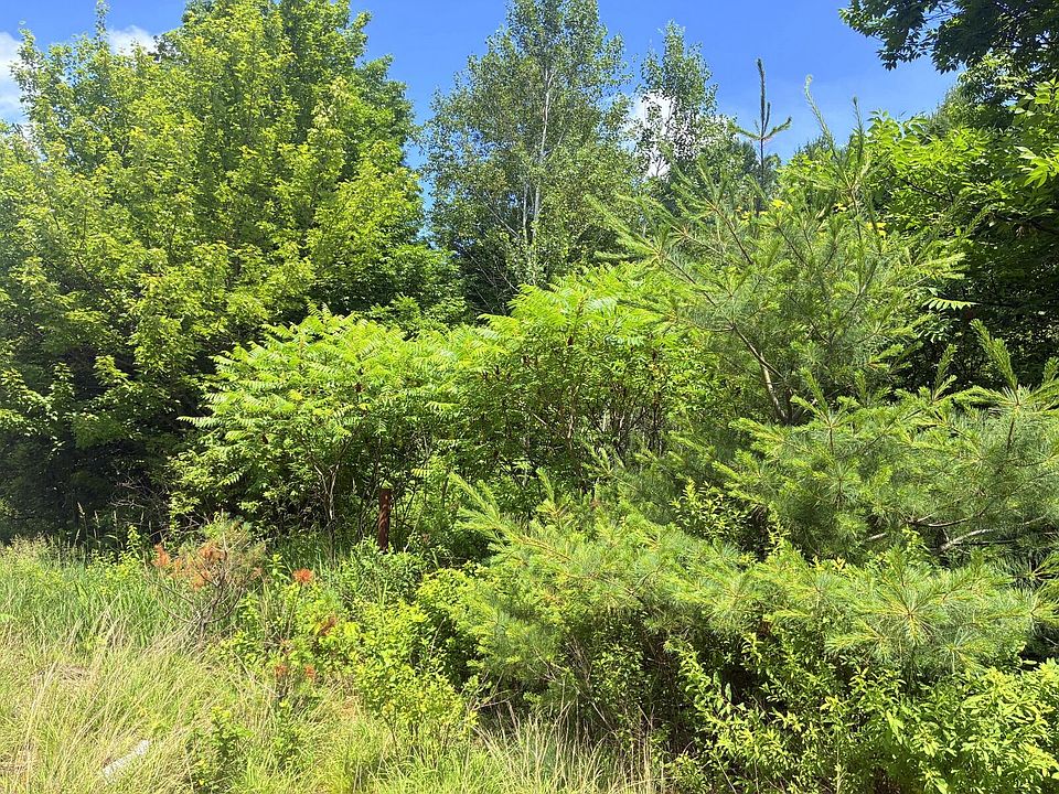 1st image of Lot 29 Auburn Road