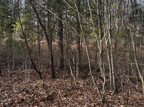 0 Bagwell Dr, Scottsburg, VA 24589