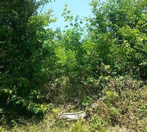 2nd image of 0 Lehigh Dr